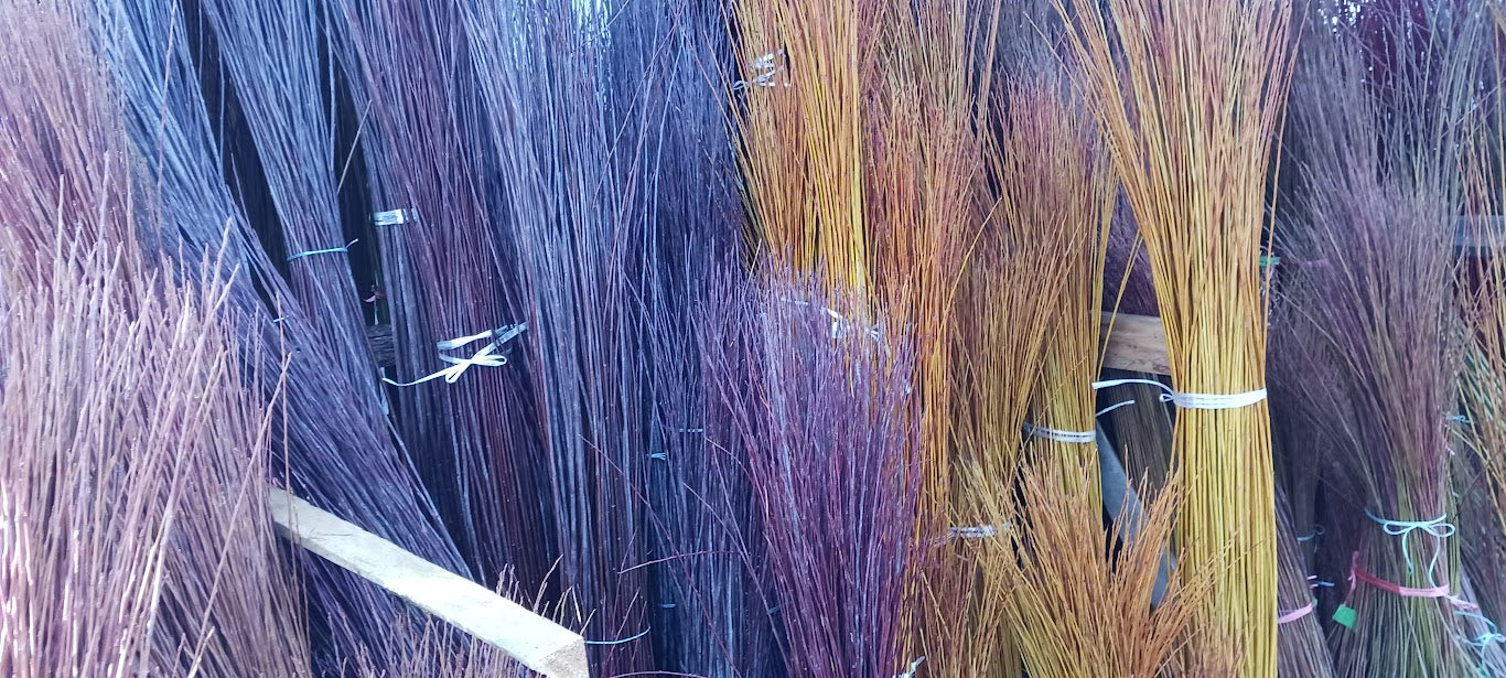 Purpurea Packing Twine, 10 Dormant Willow Cuttings Weaving Willow Farm