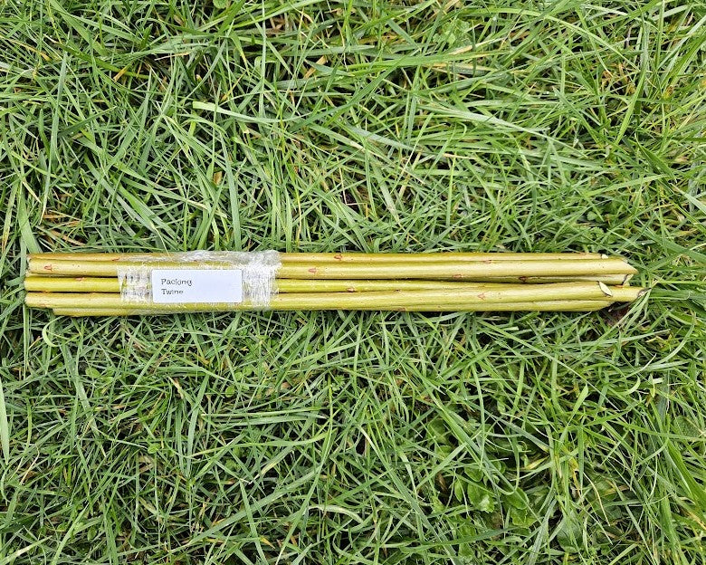 Purpurea Packing Twine, 10 Dormant Willow Cuttings Weaving Willow Farm